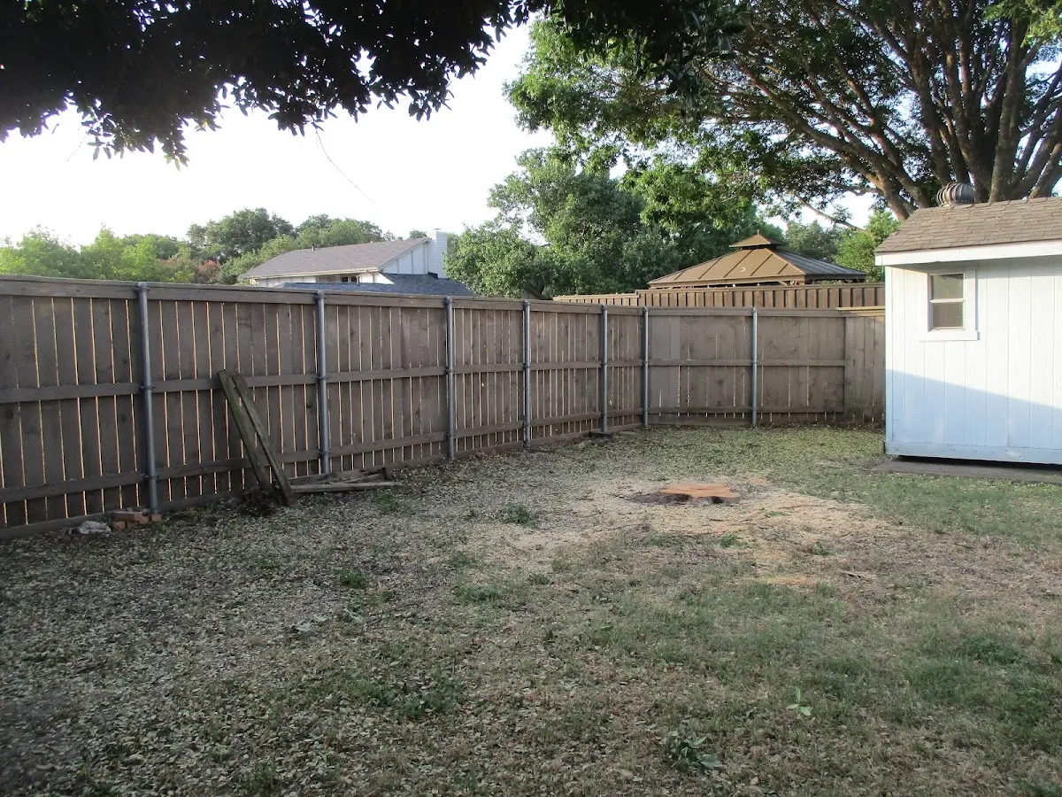 Cleared yard after professional tree removal in Goshen